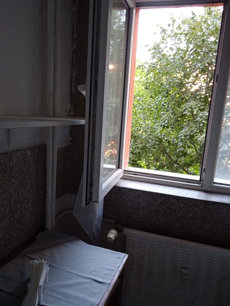 Colentina, Teiul Doamnei, parc, semistradal