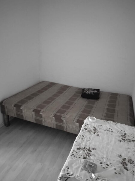 Colentina, Teiul Doamnei, parc, semistradal