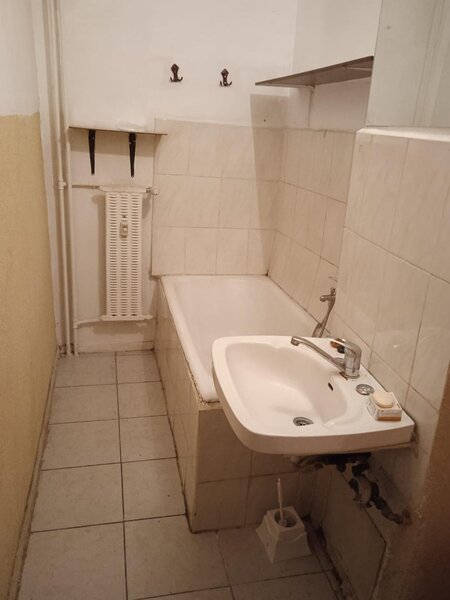 Colentina, Teiul Doamnei, parc, semistradal