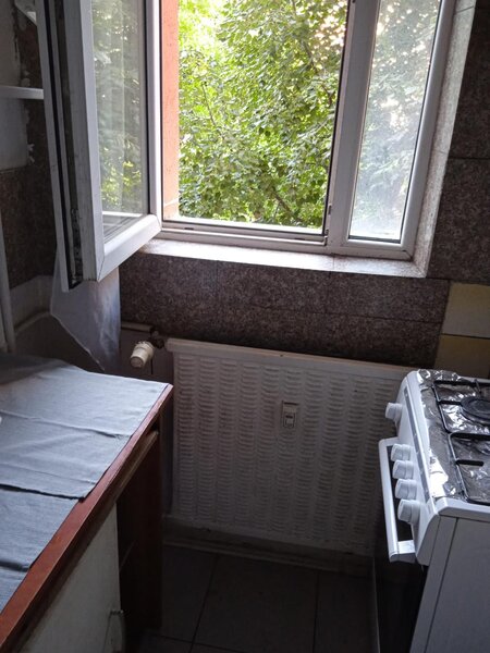 Colentina, Teiul Doamnei, parc, semistradal