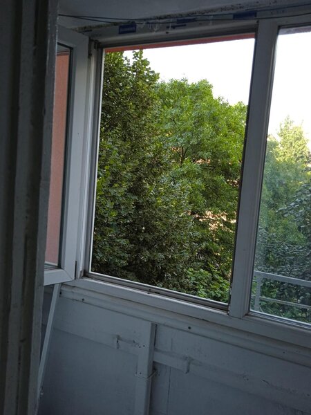 Colentina, Teiul Doamnei, parc, semistradal