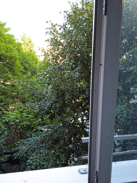 Colentina, Teiul Doamnei, parc, semistradal