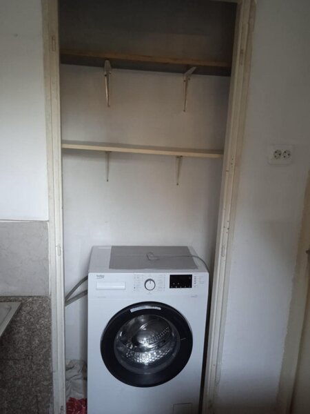 Colentina, Teiul Doamnei, parc, semistradal