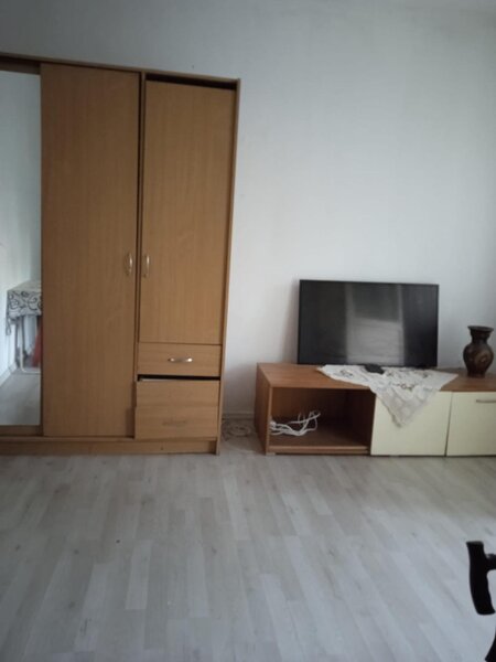 Colentina, Teiul Doamnei, parc, semistradal