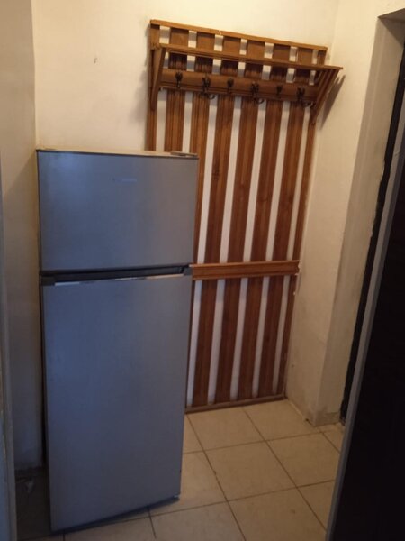 Colentina, Teiul Doamnei, parc, semistradal